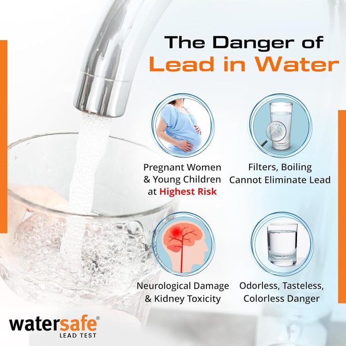 Watersafe Water Lead Test Kit WS-207 (Double) - Image 2
