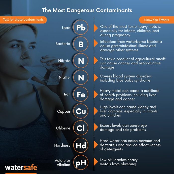 Watersafe Water Test Kit WS-425 - Image 5