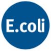 Bacteria (E.coli)