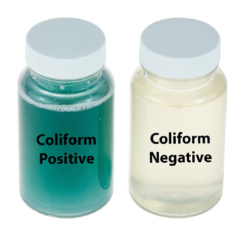 Viotiin 4-Pack E. Coli & Coliform Bacteria Water Test Kit – EPA Approved – Best Water Quality